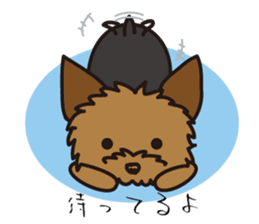 Takahashi Yorkshire Terrier sticker #1120712