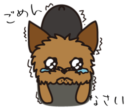 Takahashi Yorkshire Terrier sticker #1120716