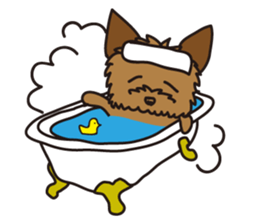 Takahashi Yorkshire Terrier sticker #1120737