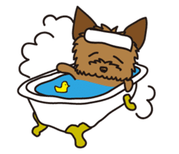 Takahashi Yorkshire Terrier sticker #1120737