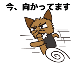 Takahashi Yorkshire Terrier sticker #1120740