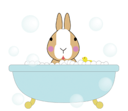 Habits of Rabbits sticker #1121081