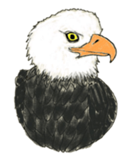 Bird's sticker sticker #1121951