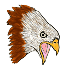 Bird's sticker sticker #1121953