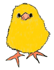 Bird's sticker sticker #1121955