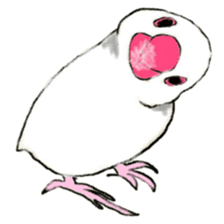 Bird's sticker sticker #1121963