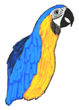 Bird's sticker sticker #1121964