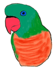 Bird's sticker sticker #1121965