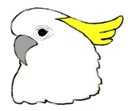 Bird's sticker sticker #1121966