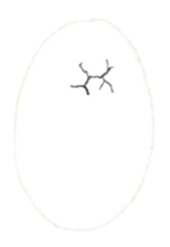 Bird's sticker sticker #1121983