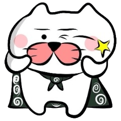 Furoshiki nyanko Matsukichi3