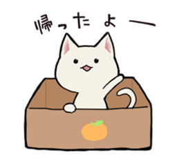 cat-Chirori sticker #1123710