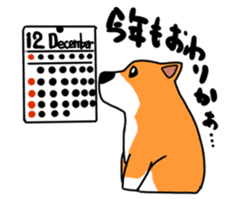 Corgi Sticker(part2,winter) sticker #1126868