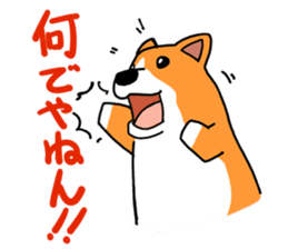 Corgi Sticker(part2,winter) sticker #1126870