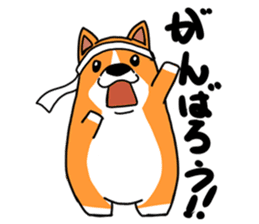 Corgi Sticker(part2,winter) sticker #1126896