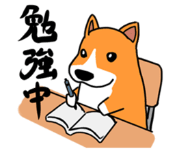 Corgi Sticker(part2,winter) sticker #1126898