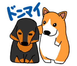 Corgi Sticker(part2,winter) sticker #1126905