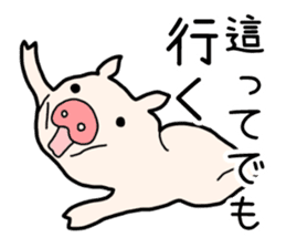 Pig the Tonchan sticker #1127490