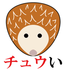 Rice ball Zoo with pun sticker #1129002