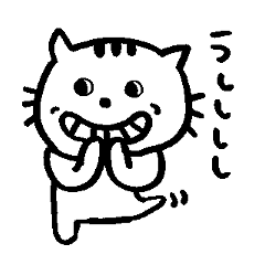 Cat, daily life of Mameko