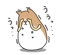 Roly-poly cats sticker #1134653