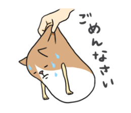 Roly-poly cats sticker #1134656