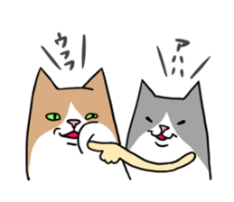 Roly-poly cats sticker #1134661