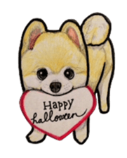 Halloween Pomeranian Sticker sticker #1137586