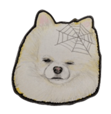 Halloween Pomeranian Sticker sticker #1137589