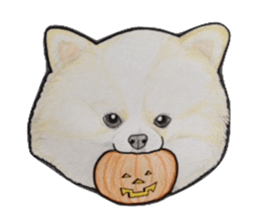 Halloween Pomeranian Sticker sticker #1137596