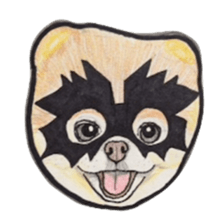 Halloween Pomeranian Sticker sticker #1137598