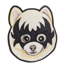 Halloween Pomeranian Sticker sticker #1137599