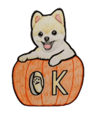 Halloween Pomeranian Sticker sticker #1137602