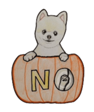 Halloween Pomeranian Sticker sticker #1137603