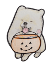 Halloween Pomeranian Sticker sticker #1137609