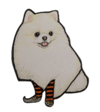 Halloween Pomeranian Sticker sticker #1137613