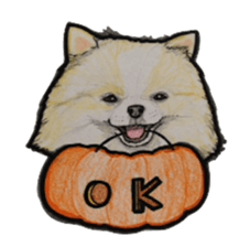 Halloween Pomeranian Sticker sticker #1137616