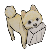Halloween Pomeranian Sticker sticker #1137621