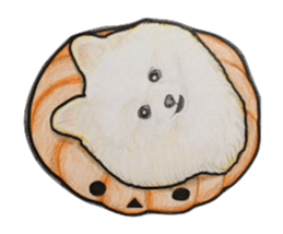 Halloween Pomeranian Sticker sticker #1137622