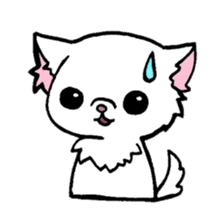 mamechiyo of Chihuahua sticker #1137955