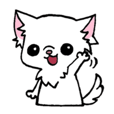 mamechiyo of Chihuahua sticker #1137958