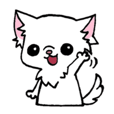 mamechiyo of Chihuahua sticker #1137958