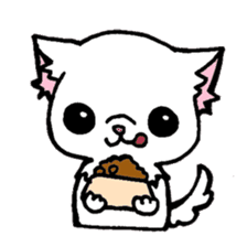 mamechiyo of Chihuahua sticker #1137967