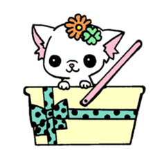 mamechiyo of Chihuahua sticker #1137976