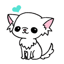 mamechiyo of Chihuahua sticker #1137979