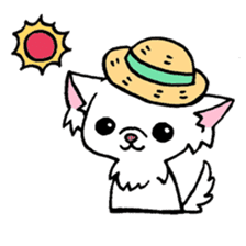 mamechiyo of Chihuahua sticker #1137980