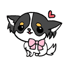 mamechiyo of Chihuahua sticker #1137985