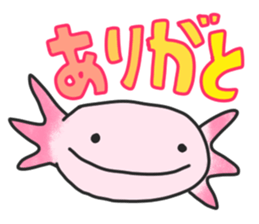 Axolotl sticker #1139666