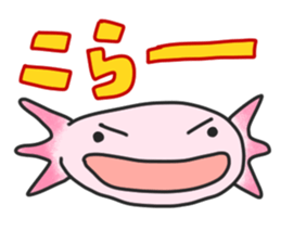 Axolotl sticker #1139668