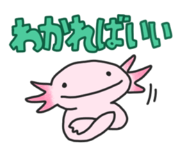 Axolotl sticker #1139701